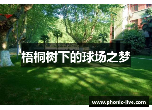 梧桐树下的球场之梦